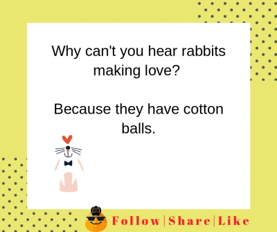 Rabbits making love