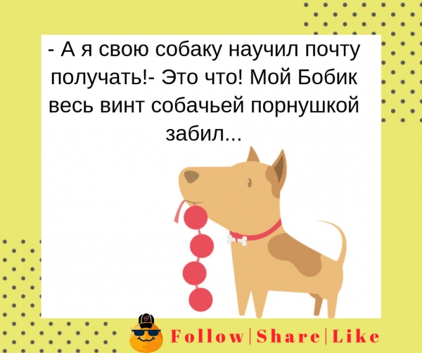 порнушкой забил
